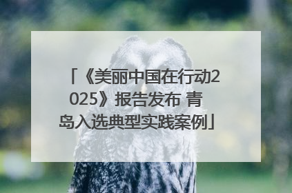 《美丽中国在行动2025》报告发布 青岛入选典型实践案例
