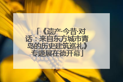 《遗产·今昔·对话：来自东方城市青岛的历史建筑巡礼》专题展在德开幕