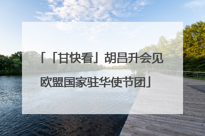「甘快看」胡昌升会见欧盟国家驻华使节团