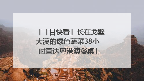 「甘快看」长在戈壁大漠的绿色蔬菜38小时直达粤港澳餐桌