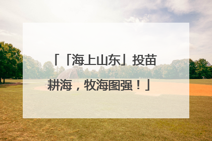 「海上山东」投苗耕海，牧海图强！