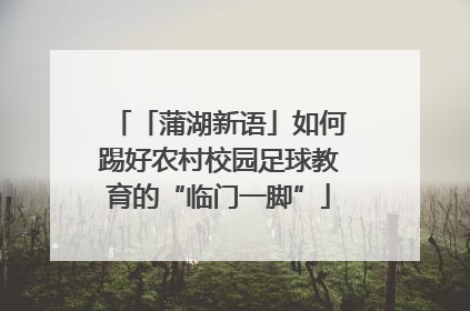 「蒲湖新语」如何踢好农村校园足球教育的“临门一脚”
