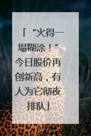 “火得一塌糊涂！”今日股价再创新高，有人为它彻夜排队