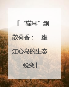 “猫耳”飘散荷香：一座江心岛的生态蜕变