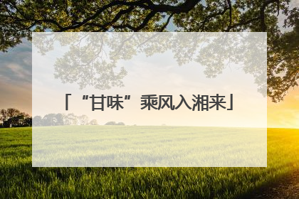 “甘味”乘风入湘来