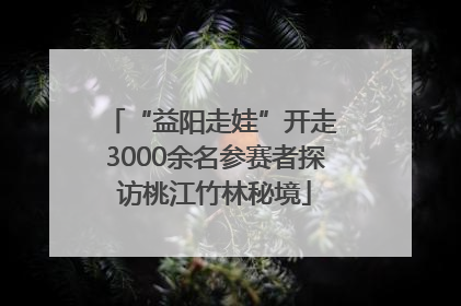 “益阳走娃”开走 3000余名参赛者探访桃江竹林秘境