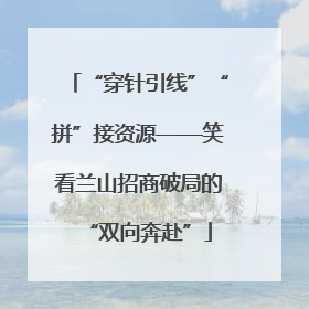 “穿针引线”“拼”接资源——笑看兰山招商破局的“双向奔赴”