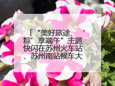 “美好旅途、‘粽’享端午”主题快闪在苏州火车站、苏州南站候车大厅上演