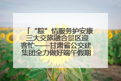 “粽”情服务护安康 三大交旅融合景区迎客忙——甘肃省公交建集团全力做好端午假期景区运营工作