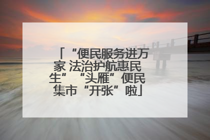 “便民服务进万家 法治护航惠民生”“头雁”便民集市“开张”啦