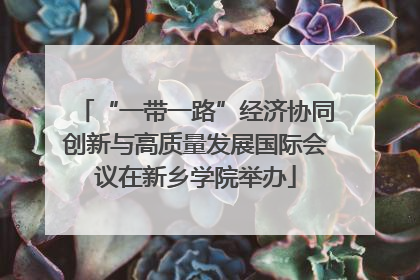 “一带一路”经济协同创新与高质量发展国际会议在新乡学院举办