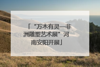 “万木有灵—非洲雕塑艺术展”河南安阳开展
