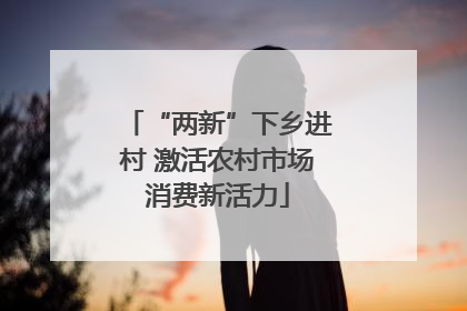 “两新”下乡进村 激活农村市场消费新活力
