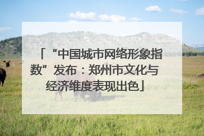 “中国城市网络形象指数”发布：郑州市文化与经济维度表现出色