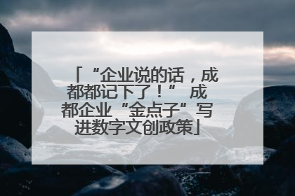 “企业说的话，成都都记下了！” 成都企业“金点子”写进数字文创政策
