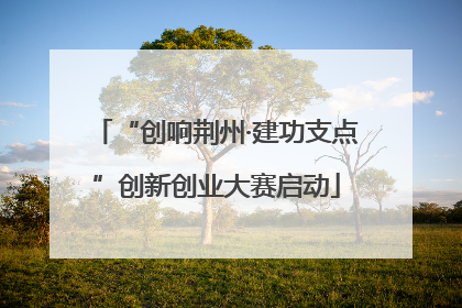 “创响荆州·建功支点”创新创业大赛启动