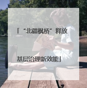“北疆枫桥”释放基层治理新效能