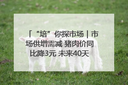 “培”你探市场｜市场供增需减 猪肉价同比降3元 未来40天便宜猪肉敞开吃