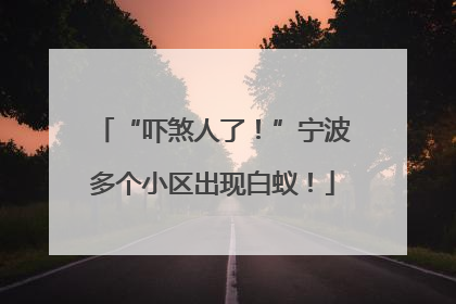 “吓煞人了！”宁波多个小区出现白蚁！