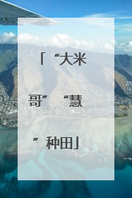 “大米哥”“慧”种田