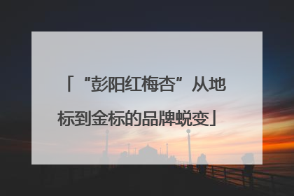 “彭阳红梅杏”从地标到金标的品牌蜕变