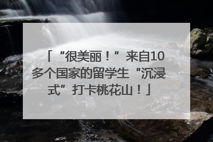“很美丽！”来自10多个国家的留学生“沉浸式”打卡桃花山！