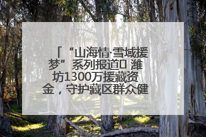 “山海情·雪域援梦”系列报道⑪ 潍坊1300万援藏资金，守护藏区群众健康“最后一公里”