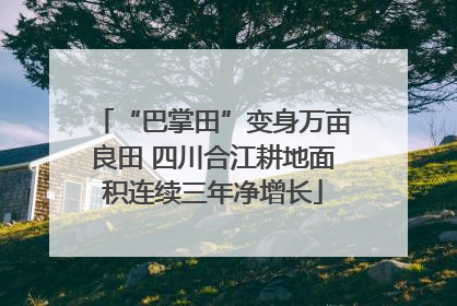 “巴掌田”变身万亩良田 四川合江耕地面积连续三年净增长