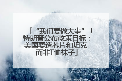 “我们要做大事”！特朗普公布政策目标：美国要造芯片和坦克 而非T恤袜子