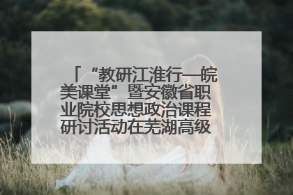 “教研江淮行—皖美课堂”暨安徽省职业院校思想政治课程研讨活动在芜湖高级职业技术学校举行