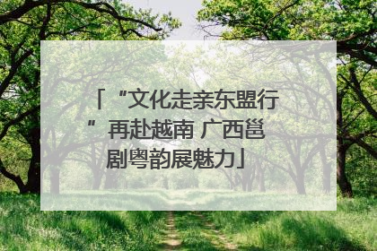 “文化走亲东盟行”再赴越南 广西邕剧粤韵展魅力