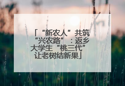 “新农人”共筑“兴农路”：返乡大学生“桃三代”让老树结新果
