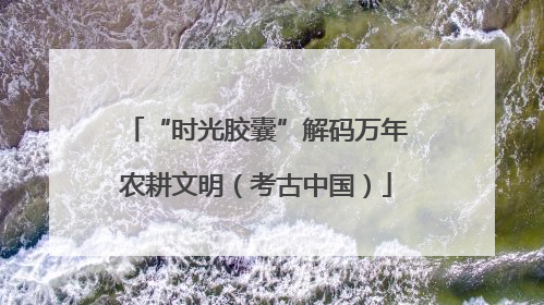 “时光胶囊”解码万年农耕文明（考古中国）