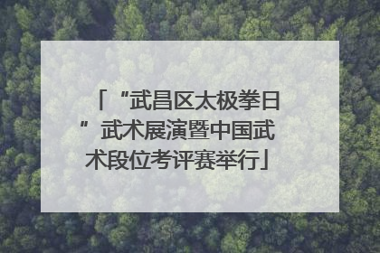 “武昌区太极拳日”武术展演暨中国武术段位考评赛举行