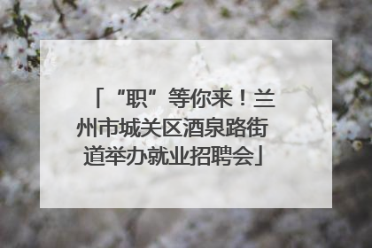 “职”等你来！兰州市城关区酒泉路街道举办就业招聘会