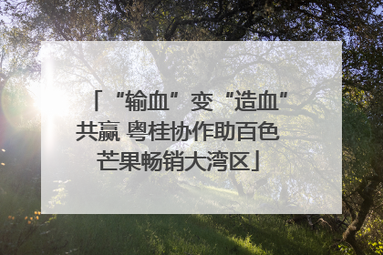 “输血”变“造血”共赢 粤桂协作助百色芒果畅销大湾区