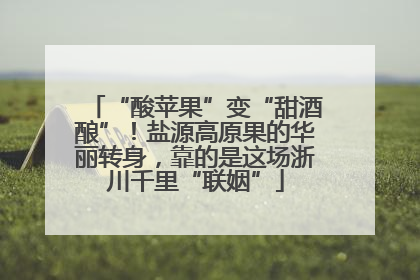 “酸苹果”变“甜酒酿”！盐源高原果的华丽转身，靠的是这场浙川千里“联姻”