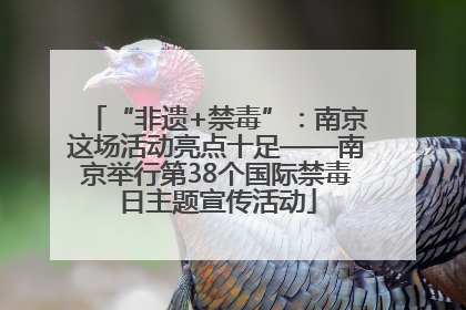 “非遗+禁毒”：南京这场活动亮点十足——南京举行第38个国际禁毒日主题宣传活动