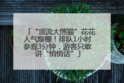 “顶流大熊猫”花花人气爆棚！排队1小时参观3分钟，游客只敢讲“悄悄话”