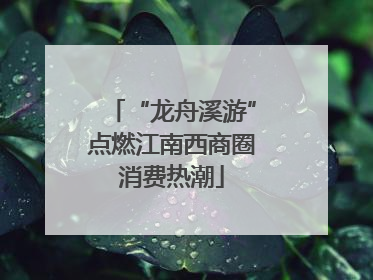 “龙舟溪游”点燃江南西商圈消费热潮