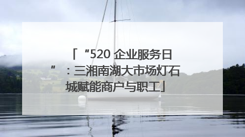 “520 企业服务日”：三湘南湖大市场灯石城赋能商户与职工