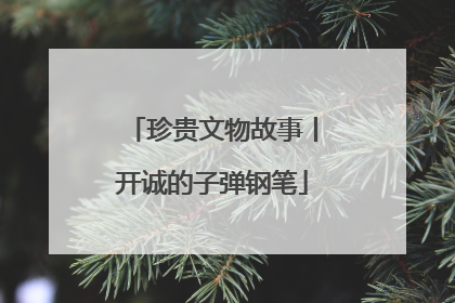 珍贵文物故事丨开诚的子弹钢笔