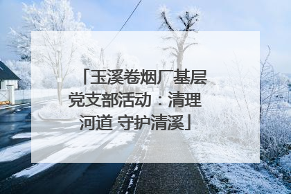 玉溪卷烟厂基层党支部活动：清理河道 守护清溪