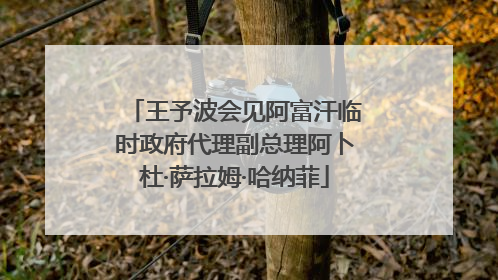 王予波会见阿富汗临时政府代理副总理阿卜杜·萨拉姆·哈纳菲