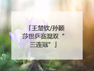 王楚钦/孙颖莎世乒赛混双“三连冠”