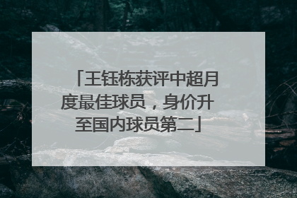 王钰栋获评中超月度最佳球员，身价升至国内球员第二