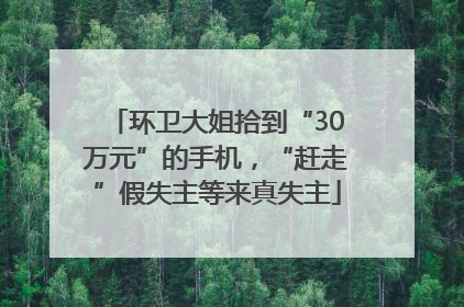 环卫大姐拾到“30万元”的手机，“赶走”假失主等来真失主