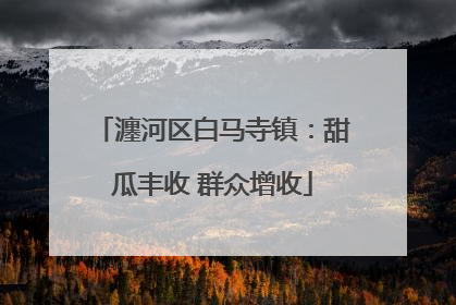 瀍河区白马寺镇：甜瓜丰收 群众增收