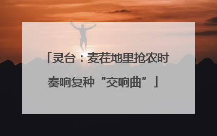灵台：麦茬地里抢农时 奏响复种“交响曲”