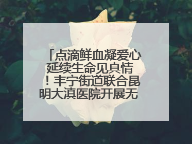 点滴鲜血凝爱心 延续生命见真情！丰宁街道联合昆明大滇医院开展无偿献血活动